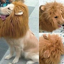 【監獄寵物館】慘叫雞橡膠玩具(16公分)**破盤大特價優惠，賣完不再進貨** 歷史價格詳細信息