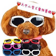 狗狗太陽鏡寵物拍照眼鏡可愛英短貓咪墨鏡裝扮搞怪幼犬貓萌寵飾品 歷史價格詳細信息