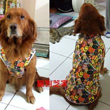 **貓狗芝家** 大型犬 皇冠 刷毛T 藍色 {5L}{6L} 歷史價格詳細信息