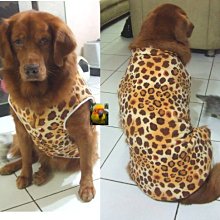 **貓狗芝家** 大型犬 皇冠 刷毛T 藍色 {5L}{6L} 歷史價格詳細信息