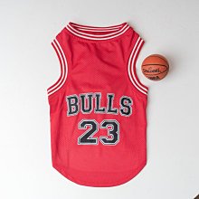 精品拉布拉多狗狗專用嘴套防誤食防亂吃叫咬人可喝水護嘴罩小中大型犬 歷史價格詳細信息