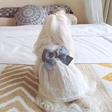 夏咪衣服薄款小貓幼貓防掉毛矮腳貓藍貓布偶背心夏季狗狗衣服 歷史價格詳細信息