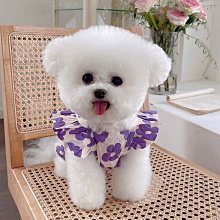 熱賣美的寵物凈味器貓咪狗狗去味劑除臭器空氣凈化器智能空氣清新器  露天市集  全台最大的網路購物市集 歷史價格詳細信息