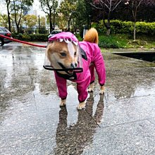 【熱賣精選】 狗狗剃毛器寵物電推剪專業狗毛推子貓咪修毛刀大型犬剪毛器 歷史價格詳細信息