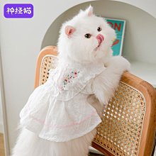 可愛網紅小夜燈不插電少女心臺燈創意鴨子擺件臥室床頭燈生日禮物 歷史價格詳細信息