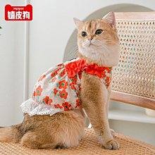 小貓咪衣服夏季防舔絕育服手術服寵物用品母貓斷奶服薄款透氣 全店滿400元發貨 小琦琦の店 歷史價格詳細信息