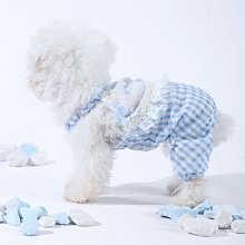 熱賣美的寵物凈味器貓咪狗狗去味劑除臭器空氣凈化器智能空氣清新器  露天市集  全台最大的網路購物市集 歷史價格詳細信息