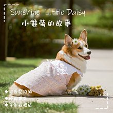 ????【熱賣款】????柯作滲線液 航模軍模高達勾線滲液上色舊化液 代替田宮 RJ2006 歷史價格詳細信息