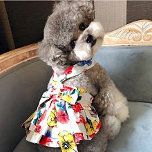貓咪衣服冬裝寵物棉衣裙子布偶美短金吉拉秋冬保暖冬天防掉毛冬季【雅怡尚品】 歷史價格詳細信息