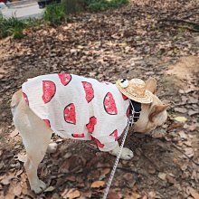 【熱賣精選】寵物抖音比熊薩摩拉布拉多搞怪博美貓咪柴犬柯基泰迪搞笑拿刀衣服 歷史價格詳細信息