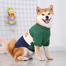 網紅柴火爐新式灶燒木柴家用氣化爐煤兩用露營炊具子猛火戶外無煙 歷史價格詳細信息