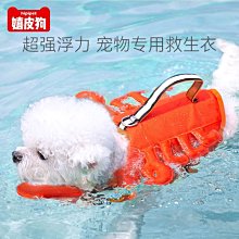 【熱賣精選】狗狗衣服大型犬拉布拉多潮牌棋盤格衣服金毛春秋薄款衣服寵物衣服 歷史價格詳細信息