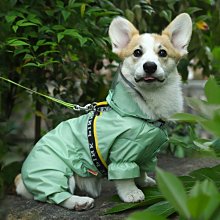 【熱賣精選】 狗狗剃毛器寵物電推剪專業狗毛推子貓咪修毛刀大型犬剪毛器 歷史價格詳細信息