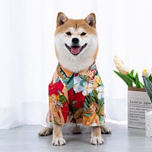 ????【熱賣款】????柯作滲線液 航模軍模高達勾線滲液上色舊化液 代替田宮 RJ2006 歷史價格詳細信息