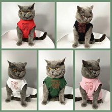 熱賣防貓叫神器小型貓咪止吠器擾民抑制器自動止叫器防叫寵物智能項圈  露天市集  全台最大的網路購物市集 歷史價格詳細信息