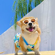 熱賣妮茜國風新中式琉琍竹節好運節節高手機鏈掛件鏈條鬱金香花朵掛繩（滿300出貨） 歷史價格詳細信息