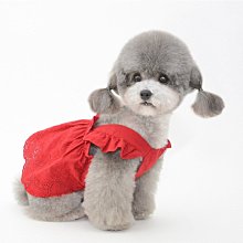 夏季薄款狗狗寵物衣服雪納瑞馬爾濟斯小型犬比熊泰迪貓咪衣服可愛 歷史價格詳細信息