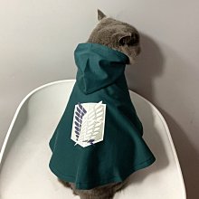 熱賣披風俠電子拼圖新樣超級積木拼妝玩具益智3-6歲兒童智力動腦拼圖 歷史價格詳細信息