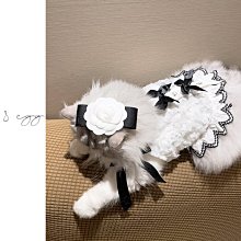 【熱賣精選】8輪冰箱墊高腳架洗衣機底座不銹鋼移動置物架美的海爾雙開門通用 歷史價格詳細信息