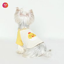 【熱賣精選】小貓咪狗狗衣服夏季薄款布偶藍貓幼貓防掉毛寵物泰迪比熊拼色衛衣 歷史價格詳細信息