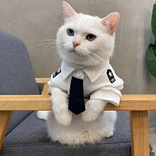 熱賣防貓叫神器小型貓咪止吠器擾民抑制器自動止叫器防叫寵物智能項圈  露天市集  全台最大的網路購物市集 歷史價格詳細信息