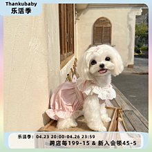 寵物狗狗衣服◎可愛點點蝴蝶結蛋糕裙裝◎低價出清→ 運費可合併!!! 歷史價格詳細信息