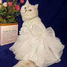 【熱賣精選】禮服披肩 蕾絲鏤空開衫長袖短款旗袍連衣裙外搭小坎肩伴娘禮服披肩小外套大 OB8551 歷史價格詳細信息