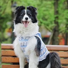 背心 衣服 卡通背心 可愛背心 潮牌坎肩汗背心男 韓版寬松運動無袖t恤男 港chic個性上衣 跑步T恤 歷史價格詳細信息