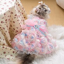 夏咪衣服薄款小貓幼貓防掉毛矮腳貓藍貓布偶背心夏季狗狗衣服 歷史價格詳細信息