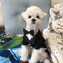 帥迪正品老花鏡高清折疊便攜玻璃男女看書看手機專用老光鏡 歷史價格詳細信息