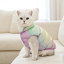 狗衣服 衣茶杯犬泰迪比熊幼犬約克夏超小體衣服超夯 精品 歷史價格詳細信息