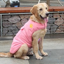 狗衣服 模版狗衣服泰迪金毛法斗牛柯基樣版定制超夯 精品 歷史價格詳細信息