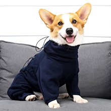 狗衣服 模版狗衣服泰迪金毛法斗牛柯基樣版定制超夯 精品 歷史價格詳細信息