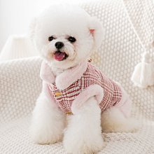 狗衣服 熊泡泡裙狗狗比熊泰迪貓咪夏季裙子衣服超夯 精品 歷史價格詳細信息