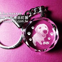 狗狗照明牽引繩/自動伸縮牽繩/遛狗繩/寵物/狗狗/狗繩/狗鏈/狗用品/牽引繩/寵物牽繩/牽引帶/寵物用品【超取】 歷史價格詳細信息