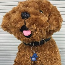 狗狗可愛獅子造型牽引四腳雨衣中小型犬泰迪外出防雨衣服寵物雨披 歷史價格詳細信息