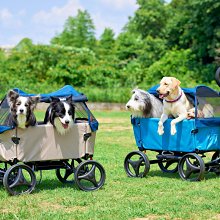 /依旺 木製早教玩具-大號立體數字玩具學習早教拼圖 歷史價格詳細信息