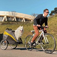/依旺 木製早教玩具-大號立體數字玩具學習早教拼圖 歷史價格詳細信息