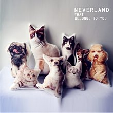 現貨熱銷-定制寵物照片鑰匙扣紀念品狗狗貓咪頭像刻字創意掛件送女朋友禮物爆款 歷史價格詳細信息