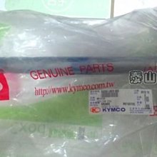 三陽 原廠【腳踏板、DRG、龍】內裝、D21 歷史價格詳細信息