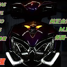 RACING.雷霆 S.RCS.LED.導光.燈眉.非.雙色.漸層.方向燈.盾牌燈.氣霸燈.GMS D1.S90.AFY 歷史價格詳細信息