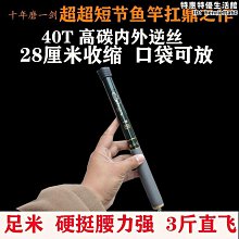 19調短節磯釣竿軟尾磯竿大導環滑漂遠投竿手海兩用拋筏魚竿全套-雅怡尚品 歷史價格詳細信息