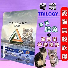 小肺人的半肺人生：341 天戰勝罕病NTM ，重新奪回呼吸的自由！ 歷史價格詳細信息