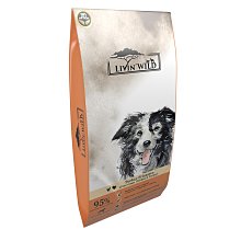 《限台中自取》仿古歐洲風格：金屬立燈（復刻檯燈、豹紋玻璃燈罩、仿銅、巴洛克、洛可可、老燈飾） 歷史價格詳細信息