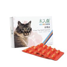 【免運】貓咪 飲水機 自動循環流動靜音飲水器 過濾恒溫加熱喝水神器 寵物 歷史價格詳細信息