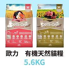 王者天下－56｜長鴻 歷史價格詳細信息