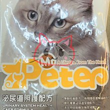 [多種配色2]耐吉 NIKE SB Zoom Pogo Plus 2 百搭單品 男女子復古低幫休閑鞋青年學生運動鞋滑板鞋 歷史價格詳細信息