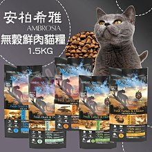 希雅貓抗菌長門簾 90x150cm 歷史價格詳細信息