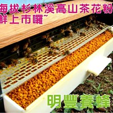 杉林溪青香甜有機綠茶葉(30g/包)-無發酵│無焙火【鑫龍源有機茶葉】有機認證標章│有機綠茶推薦種類 歷史價格詳細信息