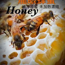 新蜜 免運費 針式 打印機 點陣式 印表機 二聯 三聯 四聯 銷售 發貨 送貨 出貨單 全新機 可調式 特價 免運費 歷史價格詳細信息
